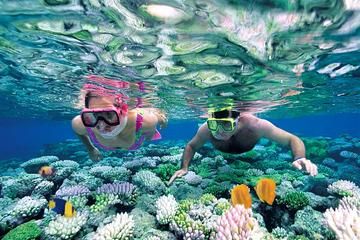 The Top 10 Punta Cana Tours & Activities - TripAdvisor 7 Natural Wonders, Cuba Beaches, Vietnam Voyage, Marsa Alam, Andaman And Nicobar Islands, Airlie Beach, Sharm El Sheikh, Expo 2015, Phu Quoc