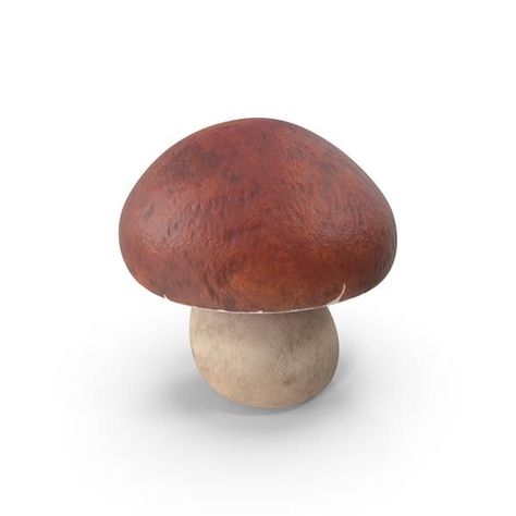 Mushroom Photo, Mushroom 3d, Advertising Poster Design, Cartoon Mushroom, Mock Ups, Advertising Poster, Still Image, 3d Objects, Poster Design