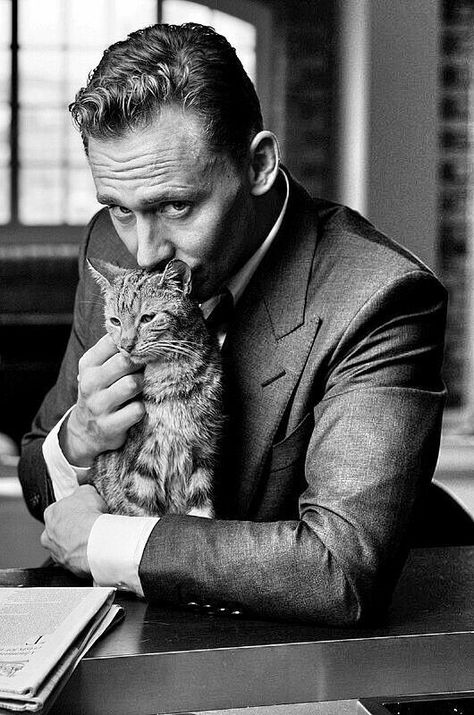 Tom Hiddlesten Thomas Hiddleston, Celebrities With Cats, Men With Cats, A Man In A Suit, Man In A Suit, Tom Welling, Men Kissing, Karl Urban, Thomas William Hiddleston