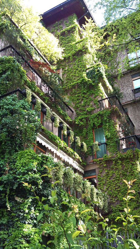 Green Architecture, Green City, Brutalism, Milan Italy, Nature Aesthetic, Pretty Places, Fantasy Landscape, Vertical Garden, Abandoned Places