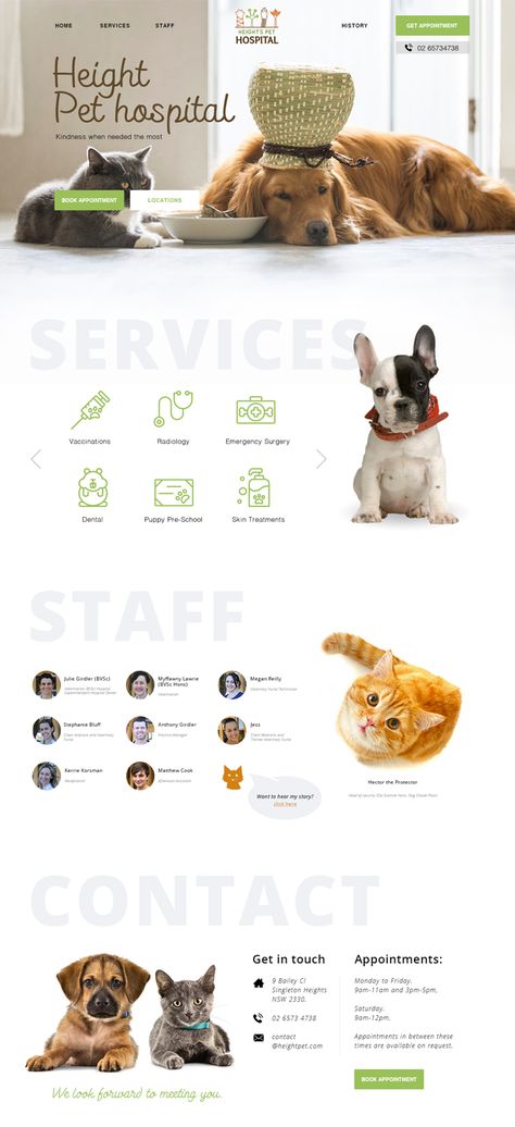 Petshop Website Design, Hospital Web Design, Vet Website Design, Web Design Blocks, Pet Website Design Inspiration, Animal Website Design, Monospace Design, Dog Website Design, Vet Website