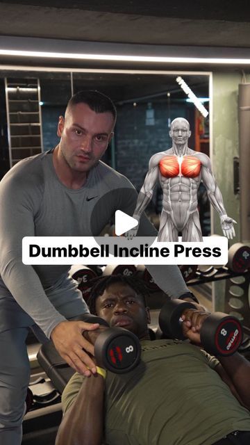 dim_a_thletic | Personal Training | Berlin on Instagram: "When you are new in the gym and try to DO and SUPPOT “Dumbbell Incline Press” 🚀 with your friend" Dumbbell Incline Press, Bench Press Form, Incline Dumbbell Press, Incline Press, Dumbbell Fly, Dumbbell Press, In The Gym, Bench Press, Personal Training