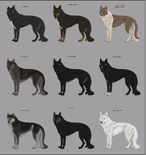 Wolf Fur Patterns Drawing, Wolf Fur Pattern, Werewolf Concept, Animal Drawing Inspiration, Anime Wolves, Dog Drawings, Canine Drawing, Adopt Idea, Wolf Character