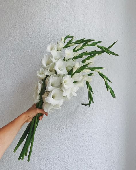 White Gladiolus Wedding Bouquet, Gladiolus Bridal Bouquet, Gladiolus Wedding Bouquet, Gladiolus Wedding, Cop Wedding, Gladiolus Bouquet, Orchids Bouquet, Plants Bouquet, Simple Arrangements