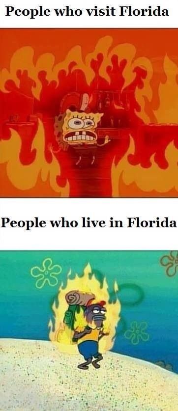 People visiting Florida vs. people living in Florida Clean Humor, Have A Laugh, E Card, Laughing So Hard, Funny Pins, Bones Funny, Funny Posts, Funny Cute, Really Funny