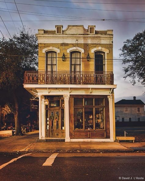 New Orleans House Exterior, Garden District New Orleans, New Orleans Coffee, Magazine Street New Orleans, New Orleans Architecture, Shotgun House, Building Aesthetic, New Orleans Homes, Garden District