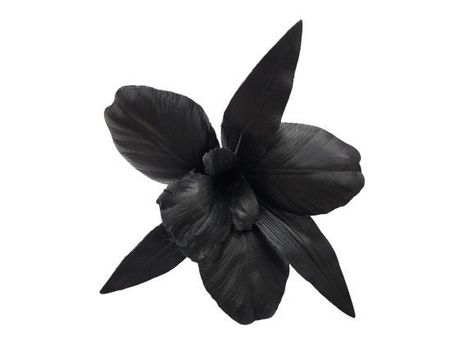 "M&S Schmalberg 6\" Black Leather Millinery Orchid Wired Fabric Flower Brooch Pin Genuine M&S Schmalberg Flower Hand-Made in New York City Garment District, Since 1916 https://www.customfabricflowers.com Want to see our factory at work? https://bit.ly/2o6iAZF As Seen in The NY Times! https://bit.ly/2nwvrHI ----------------------------------- Welcome to the Official M&S Schmalberg Etsy Shop! All of our Custom Fabric Flowers are hand made in our New York City garment district factory. Fabric Flower Pins, Fabric Flower Brooch, Leather Flower, Black Orchid, Hand Dyed Silk, Leather Flowers, Fabric Flower, Silk Dyeing, Shoe Clips