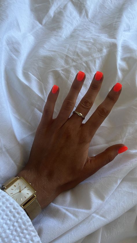 Neon Orange Pedicure, Short Acrylic Nails Full Color, Neon Orange Acrylic Nails Short, Dip Nails Orange, Electric Orange Nails, Summer Nails Neon Colors, Gel Nails Bright, Short Summer Manicure, Short Gel Nails Orange