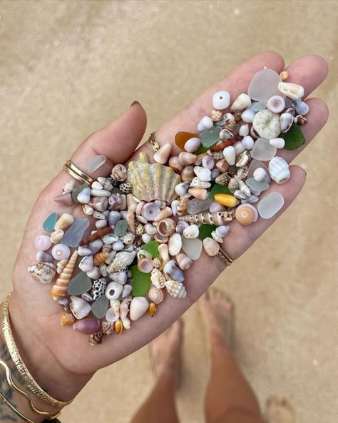 Fun Beach Pictures, Beach Core, Sea Treasure, House Smell Good, Ocean Girl, Ocean Treasures, Mermaid Aesthetic, Shell Collection, Perfect Skin Care Routine