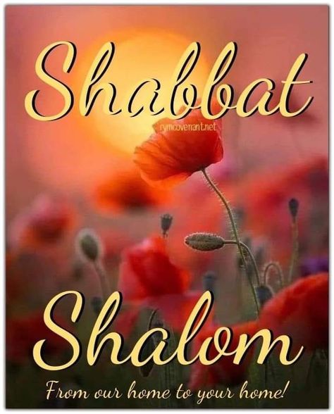 Sabbath Blessings, Jewish Shabbat, Happy Sabbath Quotes, Good Shabbos, Happy Sabbath Images, Sabbath Quotes, Shabbat Shalom Images, Hebrew Roots, Happy Sabbath