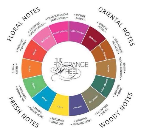 What the young Living Essential Oil label colors mean.  I thought it was based on use, but it really seems like it is based on the fragrance / aroma. How To Make Homemade Perfume, Perfume Chanel, Homemade Perfume, Perfume Recipes, Diy Perfume, Perfume Making, Essential Oil Scents, Perfume Scents, Essential Oil Perfume