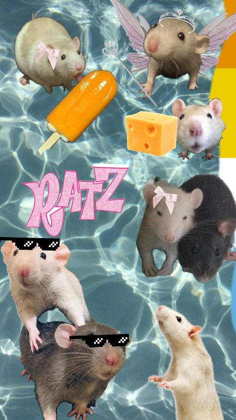 #rats #aroacepride #ratshuffle Preppy Rat, Rat Band, Mice, Rats, Pretty Wallpapers, Wallpapers, Collage, Band, Quick Saves