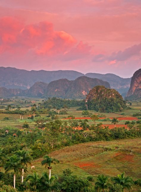 Vinales Cuba, Visit Cuba, Vinales, Vientiane, Cuba Travel, Varadero, Havana Cuba, Morning Light, Oh The Places Youll Go