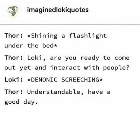 Avengers Texts, Loki Funny, Marvel Tumblr, Marvel Headcanon, Thor Loki, Funny Marvel, Funny Tumblr, Funny Marvel Memes, Marvel Quotes