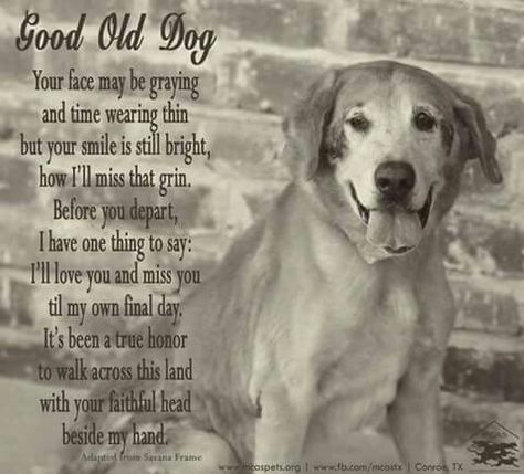 Good ole dog Dog Poems, Old Dog, Pet Remembrance, Montgomery County, Dog Obedience, Old Dogs, Senior Dog, Animal Quotes, Dog Quotes