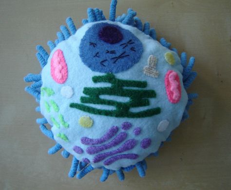 A soft and cuddly animal cell model perfect for those geeky science types. This is great as a teaching tool for students or if you are a student and need a cell model for a school science project. Science Christmas Ornaments, Animal Cell Model, Cell Model Project, Animal Cell Project, Plant And Animal Cells, Cells Project, School Science Projects, Christmas Science, Cell Model