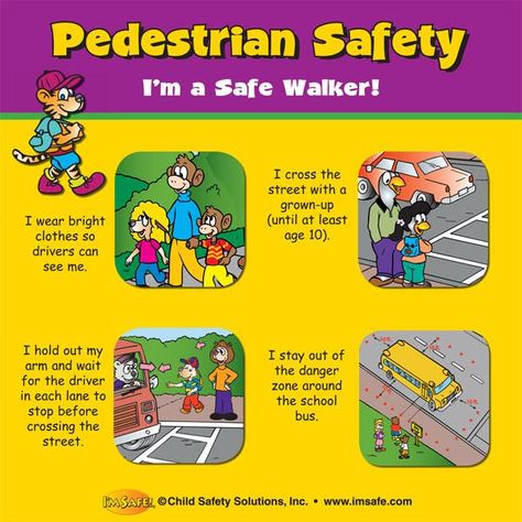 6-3815 Pedestrian Safety Tabletop Display Pedestrian Safety Preschool Activities, Preschool Safety Lessons, Pedestrian Safety Activities, Road Signals, Safety Town, Road Safety Poster, Fire Safety For Kids, Street Safety, School Bus Safety