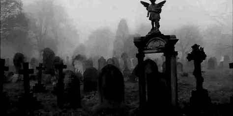 The paper bird and the girl who gave it all away Creepy Gif, Goth Wallpaper, Gothic Wallpaper, Banner Gif, Gothic Aesthetic, Goth Aesthetic, Aesthetic Gif, Computer Wallpaper, Graveyard