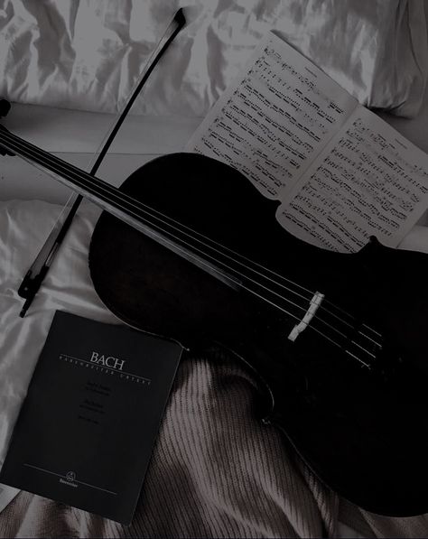 Rune Kristiansen, Poppy Litchfield, Black Violin, Darkest Academia, The Infernal Devices, Dark Academia Aesthetic, Music Aesthetic, Black And White Aesthetic, Violinist