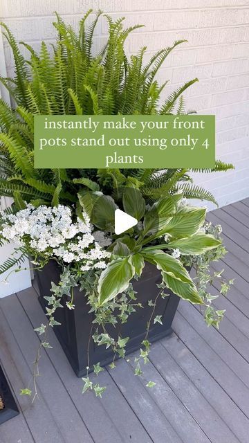 KATIE CORLEY on Instagram: "Because everyone needs a pretty entrance!

But this one takes the cake and is super easy!

Comment LINK for planter details. I love these so much, and they’ve held up well over the past few years. Available in several different sizes and color ways. 

Was this helpful? Drop a 💚 below to let me know!

#easyfrontporchupgeade #easygardening #easygardeninghacks #frontpots #shadecontainer #suncontainers" Planter For Front Porch, Front Entrance Planter Ideas, Impatient Flower Pot Ideas, Front Porch Planter Ideas Entrance Flower Pots, Front Porch Potted Plant Ideas, Front Door Planter Ideas Entrance, Ferns On Front Porch, Front Door Planter Ideas, Impatient Flowers