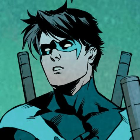 Nightwing Pfp, Nightwing Art, Nighwing, Robin Dc, Dc Icons, Dc Comics Artwork, Batman Family, Detective Comics, Dc Heroes