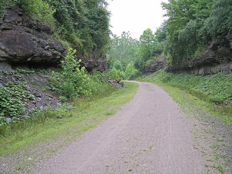 Blackwater Falls State Park, Monongahela National Forest, West Virginia Mountains, Blackwater Falls, Virginia Mountains, Bicycle Trail, Almost Heaven West Virginia, Hiking Ideas, Harpers Ferry