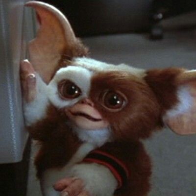 Gremlins Art, Gizmo Gremlins, Pisces Moon, Goofy Ahh, Gremlins, Cute Creatures, Old Movies, Scary Movies, Movie Characters