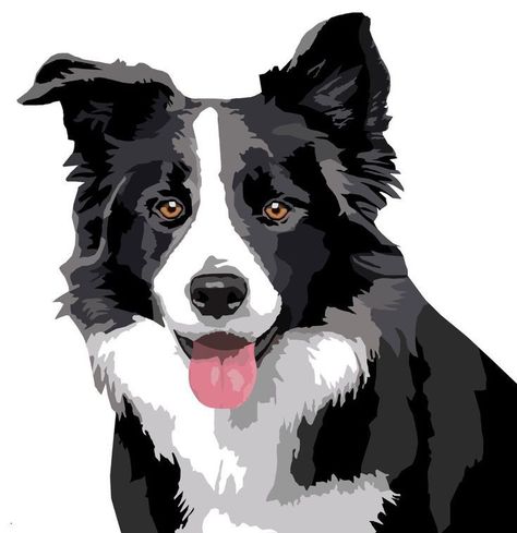 Border Collie Colors, Border Collie Art, Posca Art, 강아지 그림, Dog Decals, Border Collie Dog, Herding Dogs, Companion Dog, Border Collies