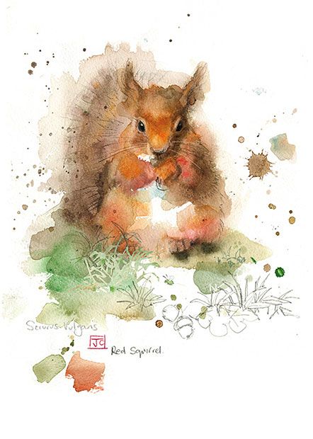 BugArt Critters ~ Red Squirrel. CRITTERS *NEW* Designed by Jane Crowther. Watercolor Squirrel, Squirrel Art, Bug Art, Watercolour Inspiration, A Squirrel, Red Squirrel, Arte Animal, Watercolor Inspiration, Watercolor Animals