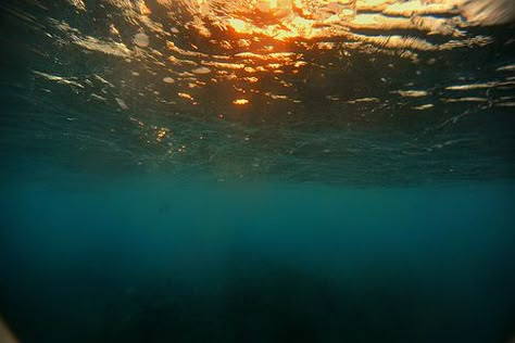 Underwater sunset. Underwater Explosion, Underwater Dark, Sunset Underwater, Cabinet Man, Underwater Sunlight, Sun Rays Underwater, Underwater Reflection Photography, Blue Underwater Aesthetic, Shark Mermaid