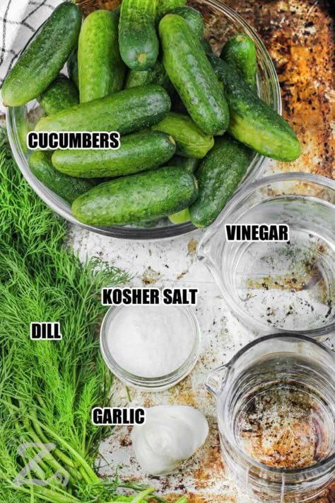 Make the most crisp and crunchy pickles with this easy dill pickle recipe for canning! Pickling cucumbers are cut into spears, packed into sterilized jars, and then topped with a brine made from boiling vinegar with kosher salt, garlic, and dill. Process the jars according to the directions here, then enjoy your homemade pickles for up to a year on hamburgers, salads, or sandwiches. #dillpicklerecipeforcanning #canneddillpicklerecipe #ourzestylife #dillpicklerecipecanning Simple Dill Pickle Recipe, Canning Dill Pickles Recipe With Pickling Spice, Homemade Pickle Brine, Ball Canning Recipes Pickles, How To Make Dill Pickles From Cucumbers, Dill Pickle Brine, Cucumber Pickle Recipes Canning, Pickle Brine, How To Pickle Cucumbers