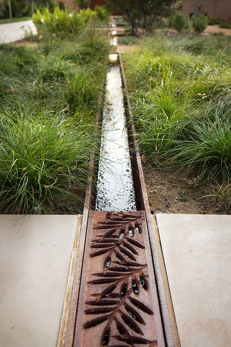 Conrad Hilton Foundation - Van Atta Associates - Santa Barbara, California Conrad Hilton, Diy Water Feature, Drainage Channel, Santa Barbara California, Diy Water, Water Features In The Garden, Have Inspiration, Water Management, Rain Garden