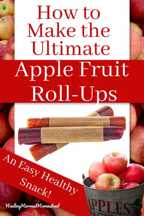 Do you have apple sauce you need to use up? OR...maybe you just want to make a natural healthy snack your kids will love? Here's a recipe and directions for how to make the perfect apple fruit leather from apple sauce! Find out how to make apple fruit roll-ups--the perfect snack for kids and grown ups too. #healingharvesthomestead #fruitrollups #apple #applesauce #healthy #snacks Apple Fruit Roll Up Recipe, Apple Sauce Fruit Leather Recipe, Apple Preserving, Apple Fruit Leather Recipe, Fruit Leather Recipe Dehydrator, Applesauce Healthy, Dehydration Recipes, Fruit Rollups, Seasonal Recipes Fall