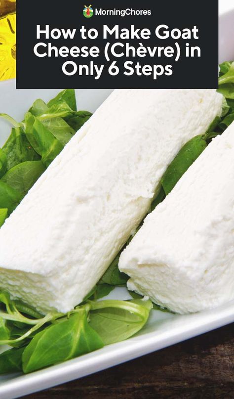 How to Make Goat Cheese (Chèvre) in Only 6 Steps Making Goat Cheese, Make Goat Cheese, Cheese Recipes Homemade, Cheese Making Recipes, Goat Milk Recipes, Goat Recipes, Diy Cheese, Goat Cheese Recipes, Salad Pasta