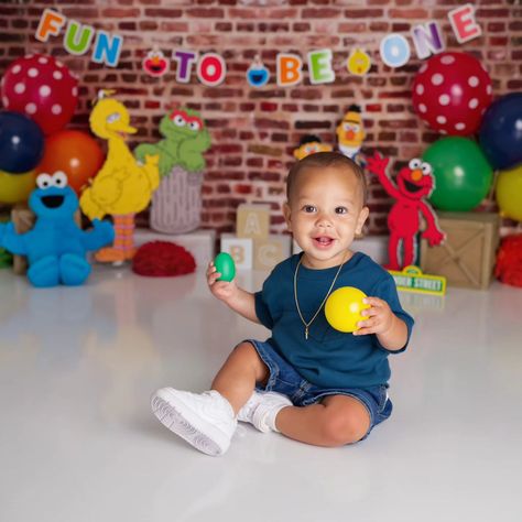 This little ham turns 1 tomorrow!!! He's obsessed with sesame street so that's exactly what his momma wanted to do! So stinking cute! #sesamestreet #sesamestreetparty #sesamestreetdecor #bigbird #burtandernie #elmo #oscarthegrouch #cookiemonster #connecticut #connecticutphotographer #connecticutphotography #cakesmash #cakesmashphotographer #cakesmashphotography Sesame Street Photo Shoot, Street Photo Shoot, Elmo Costume, Boy Photo Shoot, Baby Photoshoot Boy, Sesame Street Party, Oscar The Grouch, Baby Learning Activities, Elmo Birthday