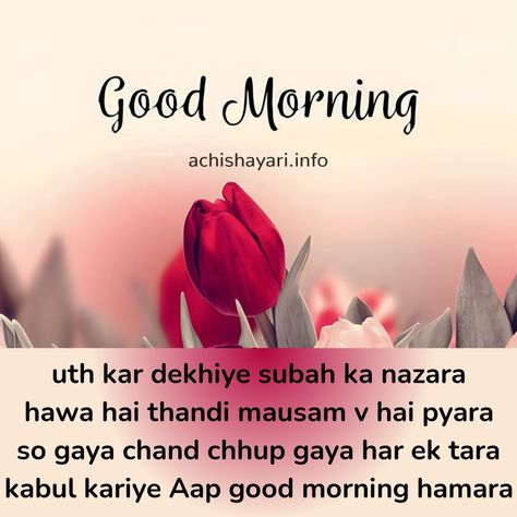 Good Morning Shayari Image Download, achishayari, good morning images, good morning wishes Good Morning Love Shayari, Good Morning Husband, Cuddle Quotes, Good Morning Shayari, Morning Shayari, Love Shayri, Good Morning Beautiful Quotes, Diary Quotes, Profile Pictures Instagram