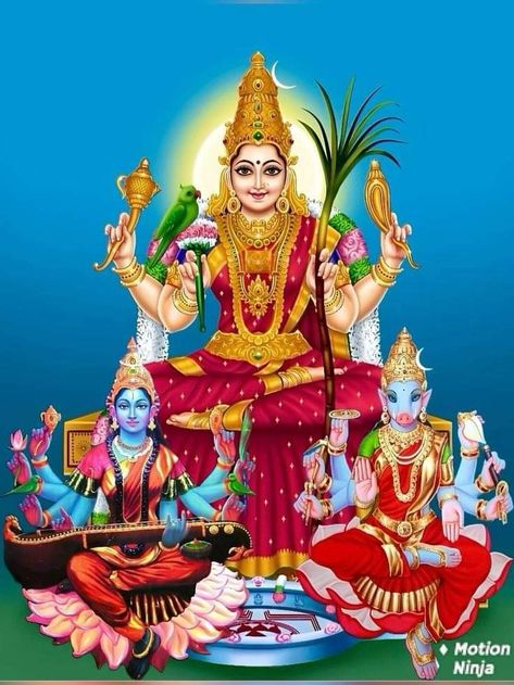 Shyamala Devi Goddess, Sri Lalitha Tripura Sundari Devi, Raja Shyamala Devi, Lalitha Devi Goddesses, Parvathi Devi, Abundance Wallpaper, Laxmi Yantra, Devi Shakti, Varahi Devi