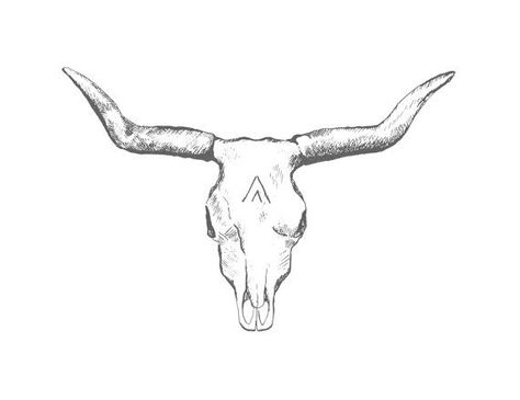 Longhorn Skull Drawing, Bull Skull Tattoo, Longhorn Tattoo, Desert Skull, Bull Skull Tattoos, Cowgirl Tattoos, Tatuagem Masculina Pequena, Longhorn Bull, Petit Tattoo