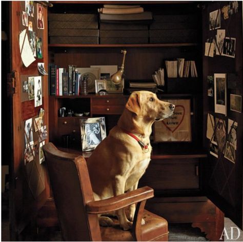 blog post on Dogs In The Home  www.courtneyprice.com Soho Apartment, Dog Lounge, Bethenny Frankel, New York City Apartment, East Village, Architectural Digest, Mans Best Friend, I Love Dogs, Dog Life