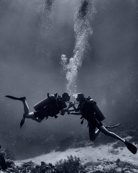 Sea Diving Aesthetic, Scuba Diving Proposal, Scuba Diver Photography, Couple Scuba Diving Aesthetic, Scuba Diving Wallpaper, Scuba Aesthetic, Diver Aesthetic, Diving Wallpaper, Scuba Photography