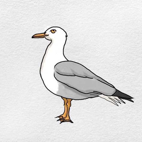 How to Draw a Seagull - HelloArtsy Seagull Drawing, Summer Drawings, Seagulls Flying, Painting Materials, Beautiful Flower Tattoos, Art Hub, How To Make Drawing, Drawing Sketching, Craft Paint