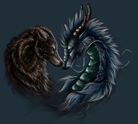 Dragon Protecting, Wolf And Dragon, Dragon Wolf, Dragon Tattoos, Dragon Pictures, Wolf Tattoos, Dragon Artwork, Mythical Creatures Art, Creatures Art