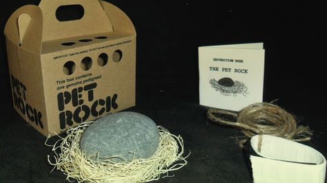 The Many Factors to Consider When Deciding the Best Packaging for Your Food Product White Elephant Christmas, Weird Inventions, Pet Rock, Gag Gifts Christmas, Joke Gifts, Pet Rocks, Santa Gifts, White Elephant, Gift Exchange