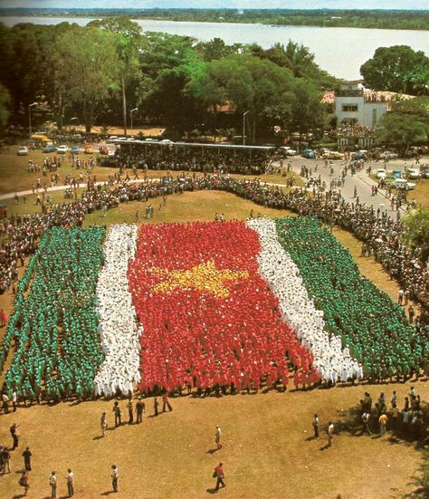 Suriname Flag, South America Travel, In The Spotlight, Archipelago, America Travel, Dream Vacations, Beautiful Images, South America, Independence Day