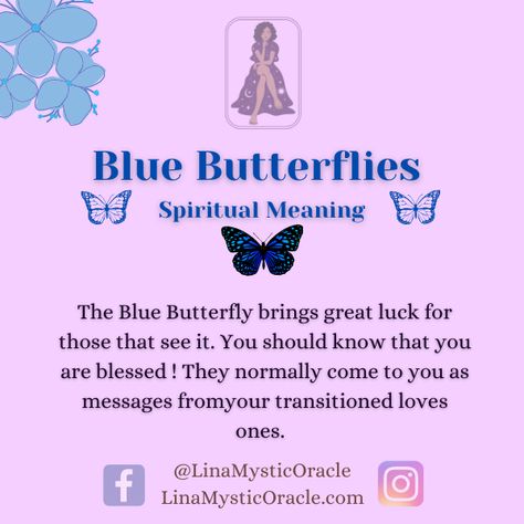 Meaning Of Blue Butterfly, Blue Butterfly Symbolism Meaning, Blue Butterfly Symbolism, Blue Butterfly Spiritual Meaning, Butterfly Meaning Spiritual, Blue Butterfly Meaning, Butterfly Spiritual Meaning, Butterfly Spiritual, Butterfly Symbolism