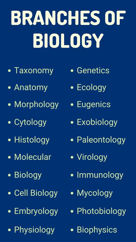 Apart from the above ones, there are many other branches of biology. The mentionable branches or types among them are given below: What Is Biology, Branches Of Biology, Learn Biology, Branches Of Science, Biology Art, 8th Grade Science, Biology Lessons, Biology Notes, Cell Biology