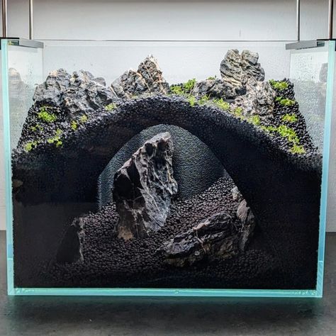 Aquarium cave Cave Terrarium, Gourami Tank, Cave Aquarium, Crab Tank, Closed Terrarium Plants, Fish Pond Gardens, Turtle Habitat, Cool Fish Tanks, Small Fish Tanks