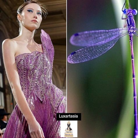 Inspired by the wings of a #dragonfly.. #tonywardcouture #couturenotebookart Wings Dress, Dragonfly Wings, Notebook Art, Tony Ward, The Wings, Animal Fashion, Inspired Dress, Dragonflies, Couture Fashion