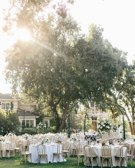 The golden light of an October wedding will never get old. Full planning, design & coordination @ribbonandleaf Photographer @kelliavilaphoto Cinematographer @laurenwestra Florist @sweetmemoriesflowers Rentals & lighting @standardeventrentals Linens @bbjlatavola Catering @fugazzis Bride @ellietevelde Venue: Private Estate Day of paper @willemina_typography Hair & Makeup @beautybyemilybarton Private Estate Wedding, Golden Light, October Wedding, Golden Lights, Estate Wedding, Getting Old, The Golden, Florist, Dream Wedding