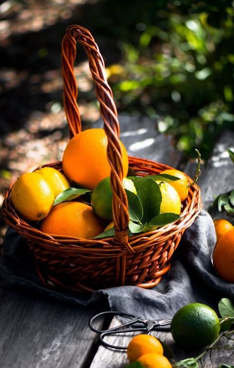 Raw Food Photography, Food Photography Fruit, Still Life Food Photography, Orange Cheesecake, Themed Candles, Citrus Cake, Still Life Pictures, Food Photoshoot, Dessert Photography